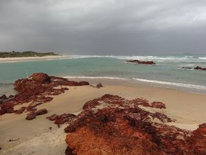 DSC01770
