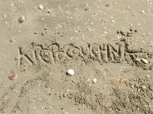 kropo on the beach 2