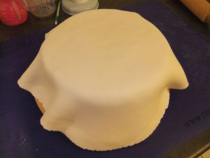 DSCF8211