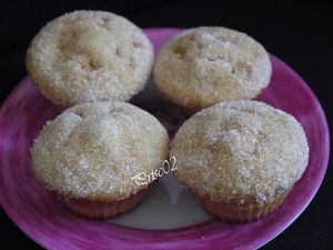Muffin donut3