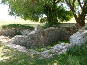Ruines-romaines-Tagdempt--Copier-.JPG
