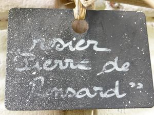 P1340579