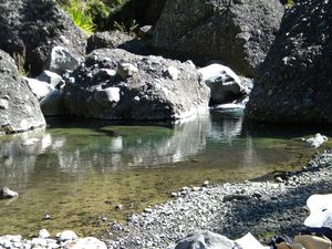 DSCN3101.JPG