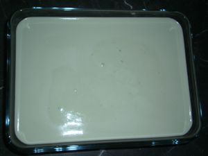kiwi-13.JPG