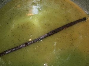 kiwi-7.JPG