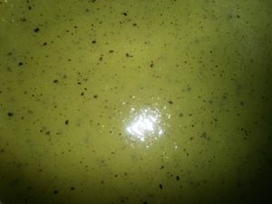 kiwi-8.JPG