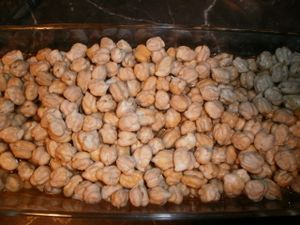 pois-chiches.JPG