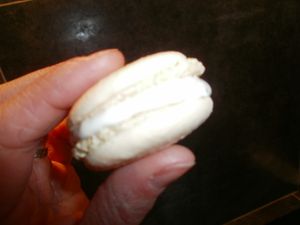 chevre.JPG