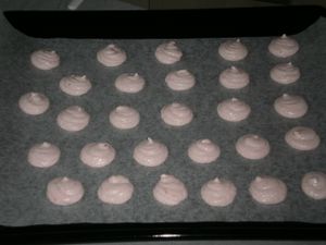 maca-12.JPG