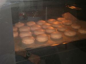 maca-14.JPG