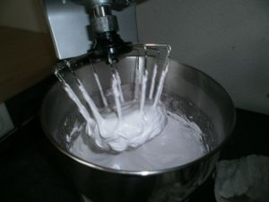 maca-6-copie-1.JPG