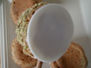 pisce-11.JPG