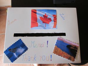 IMG 1185