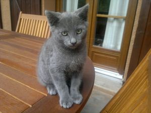 photo(9)