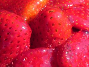 gateaux-fraises-061.jpg