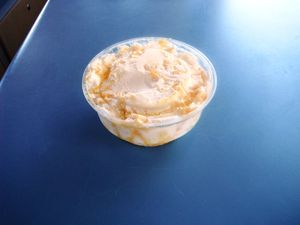Mango Ice Cream (2)