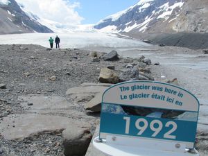 D'ici quelques années, il risque de disparaitre... 2013-8 6719