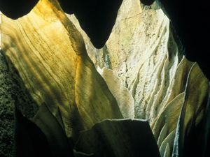 scott-t-smith-cave-decorations-and-grotto-carlsbad-caverns-