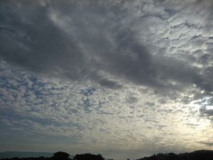 gallery-20140918_082358.jpg