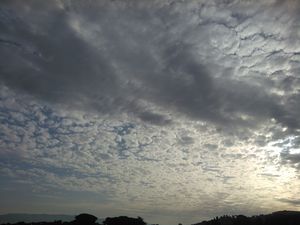 gallery-20140918_082400.jpg