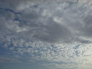 gallery-20140918_082406.jpg