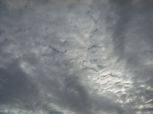 gallery-20140918_082421.jpg
