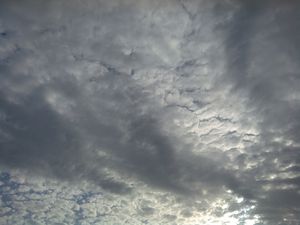 gallery-20140918_082435.jpg