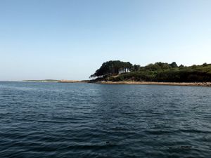 DSCF0636-001