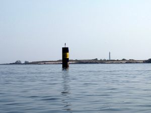 DSCF0654-001