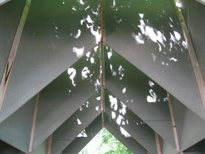 Defis-du-Bois 0191