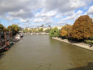 FIAC-2013 5736