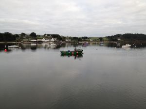 IMG 1143-1