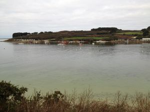 IMG 1154-1