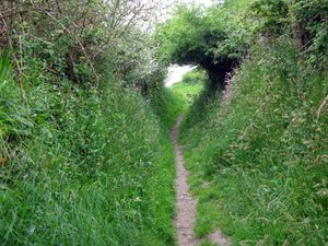 ST-PABU-05-2013 2477