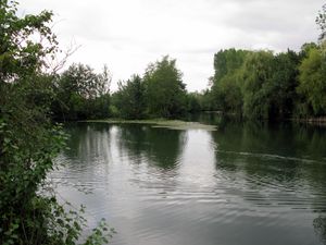 Dossier2-1646-copie-1.JPG