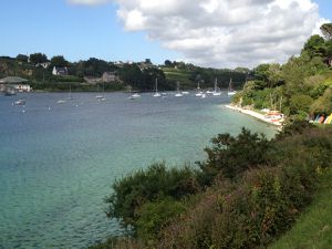 Juillet-2581.JPG