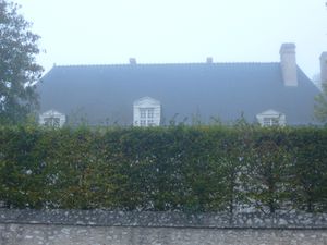 P1000979