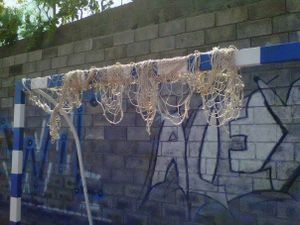 poli-la-vera3.jpg