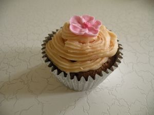cupcakes noel 049