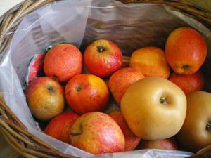 pommes---blog.JPG