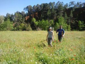 IMG-20130527-WA0007