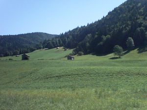SUNP0390-copie-2.JPG