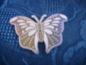 IMG_0370.JPG