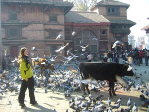 023 : Durbar square, Katmandou