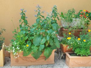100_3099.JPG
