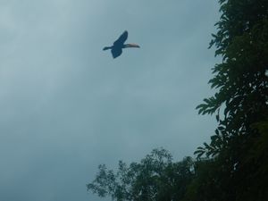 DSCN7834