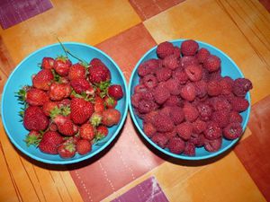 recolte-fraise-et-framboise-2O12.jpg