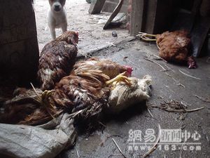 chine-hygiene-viande.jpg