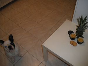 izzie-ananas.jpg