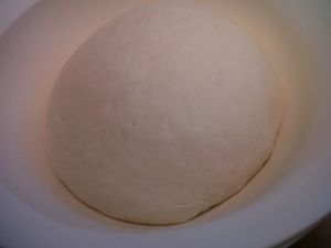 IMG00431-20120423-1756.jpg
